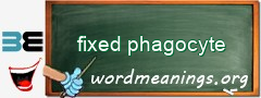 WordMeaning blackboard for fixed phagocyte